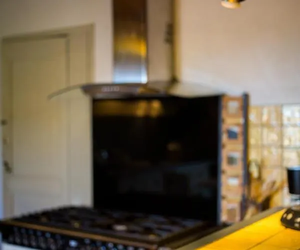 Haras Picard Du Sant Le