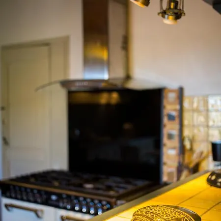 Haras Picard Du Sant Le