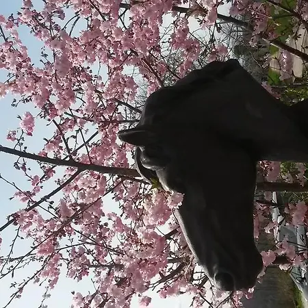 Semesterbostad Haras Picard Du Sant Le *