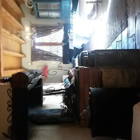 Haras Picard Du Sant Le Lasserre (Ariege)