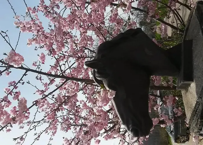 بيت للعطل Haras Picard Du Sant Le *